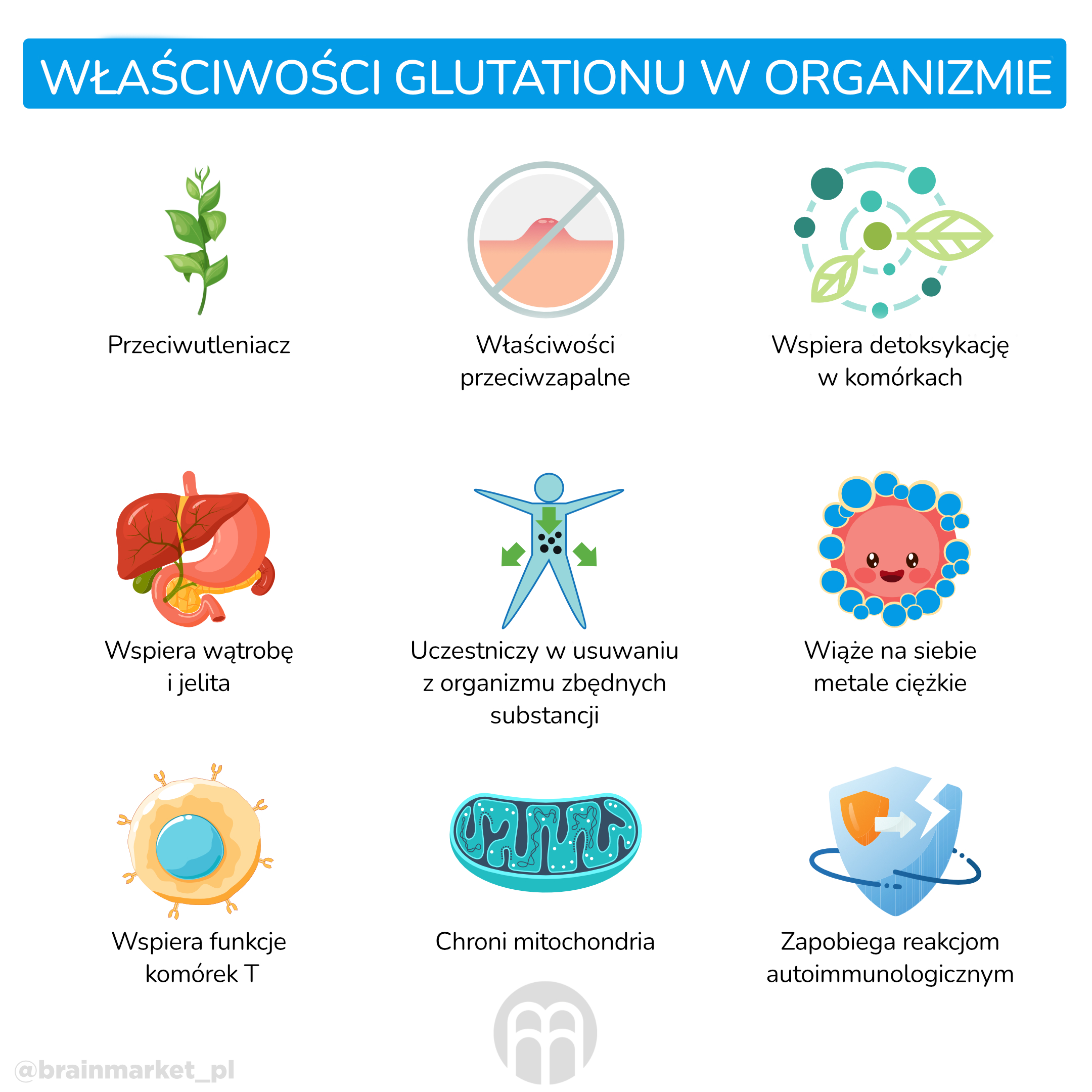 vlastnosti glutathionu_infografika_pl